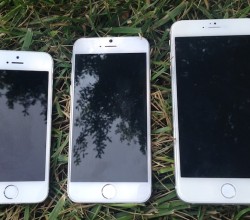 iPhone 6 grass