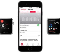heart rate Apple Watch